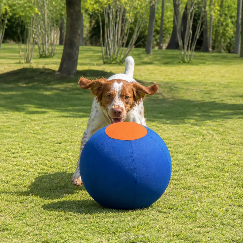 Aufblasbarer, bissfester Hüteball für Hunde – strapazierfähiges, interaktives Spielzeug zum Schieben und Hinterherjagen