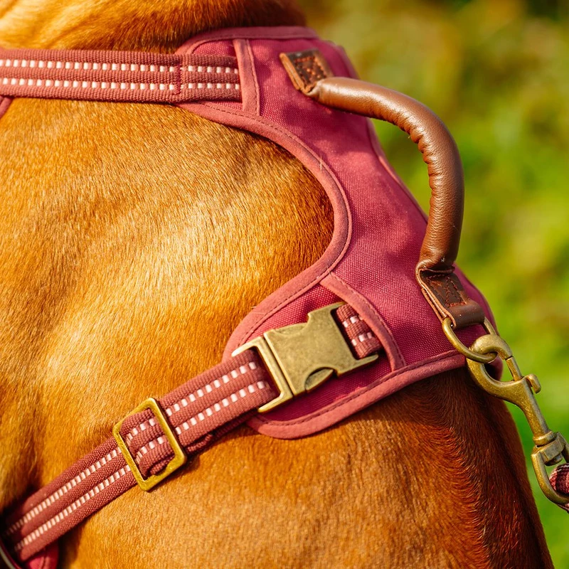 Nobby Geschirr SPORTY - Canvas/Neopren - reflektiert - Hundegeschirr Komfortgeschirr