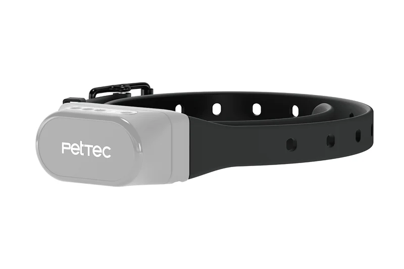 Ersatzhalsband für Antibell-Halsband & Ferntrainer mit Vibration