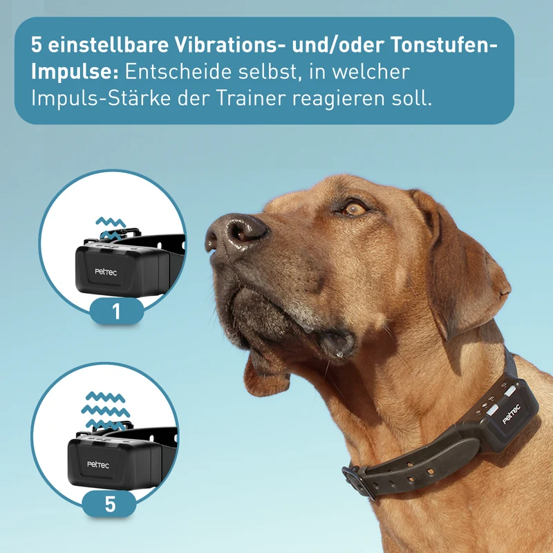 PetTec Ton & Vibra Multi-Trainer mit Fernbedienung