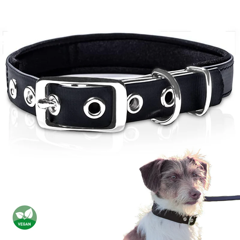 PetTec Halsband aus veganem Trioflex®, schwarz