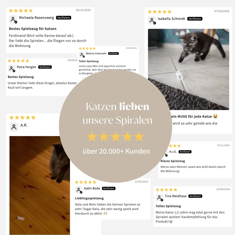 SPIRALEN - 4er Pack