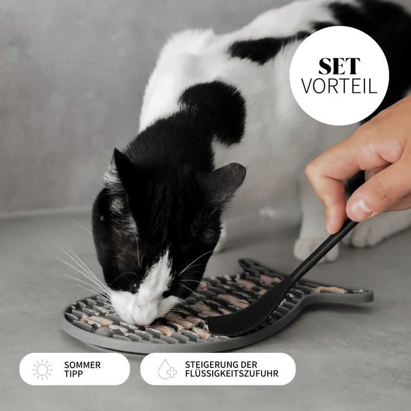 SCHLECK SET