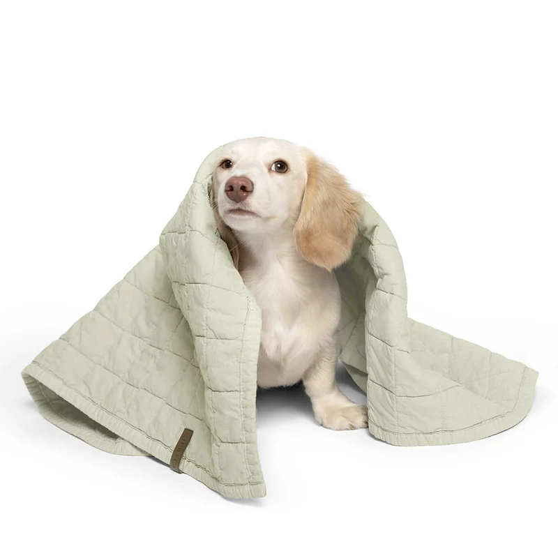 Hundedecke LTTL Faded Moss