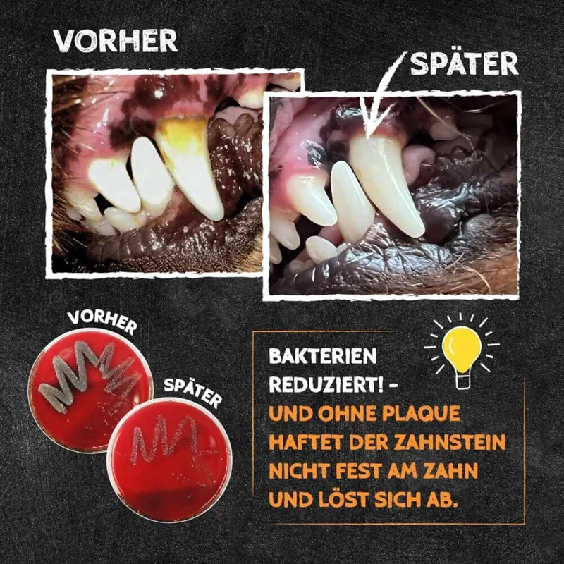 Zahnputzflocken, 90g