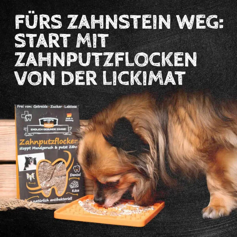 Zahnputzflocken, 90g