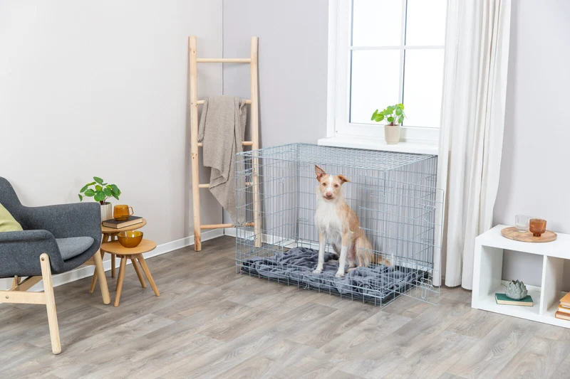 Hundebox Home