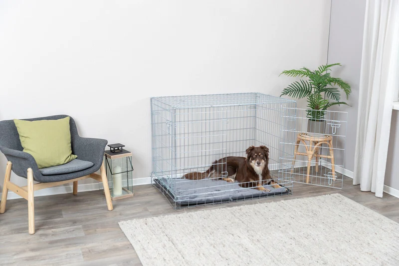 Hundebox Home