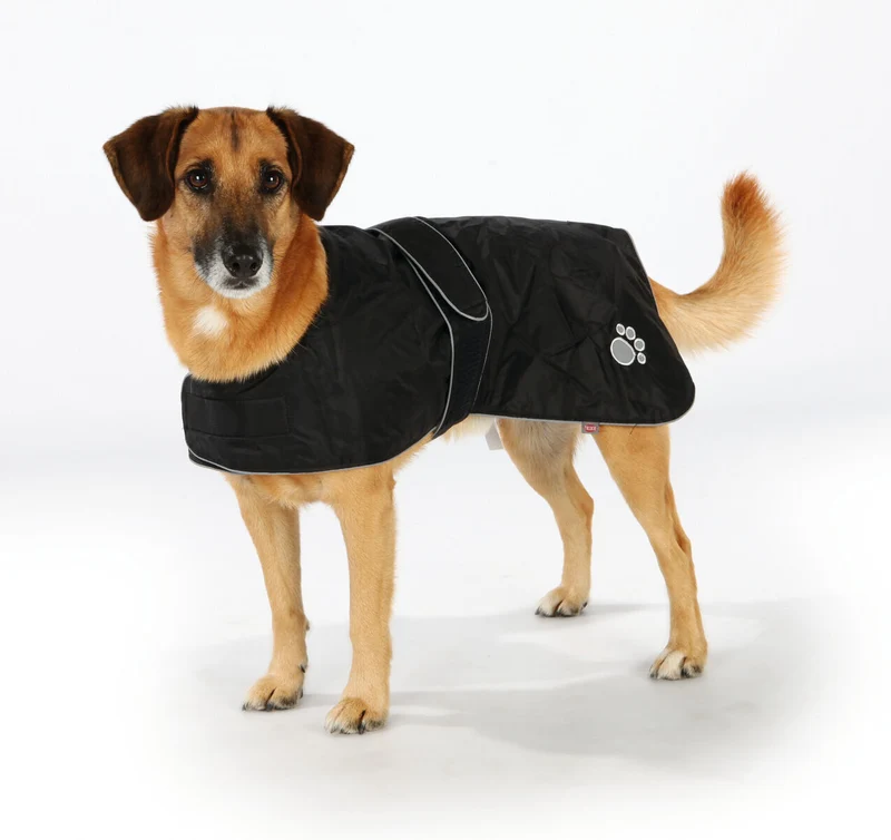 Hundemantel Orléans