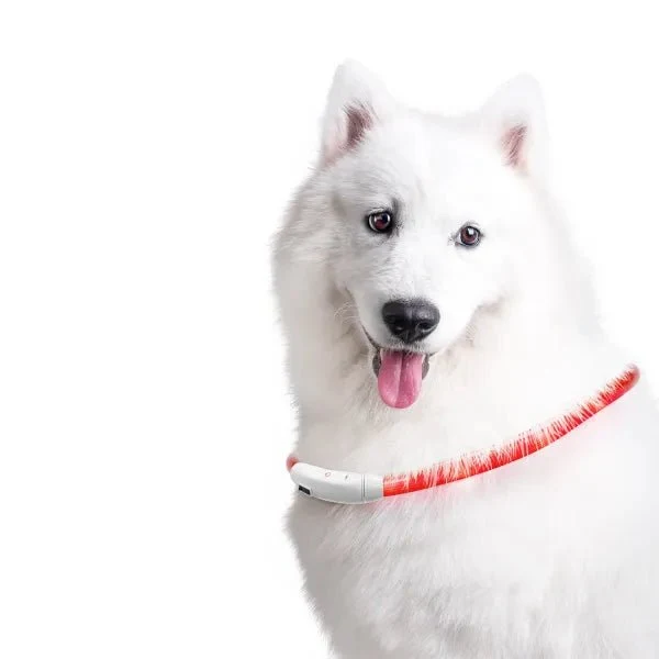 nobleza - Halsband LED Verstellbar