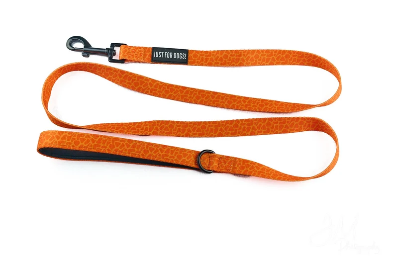 Hundeleine Trail | Grafik Orange