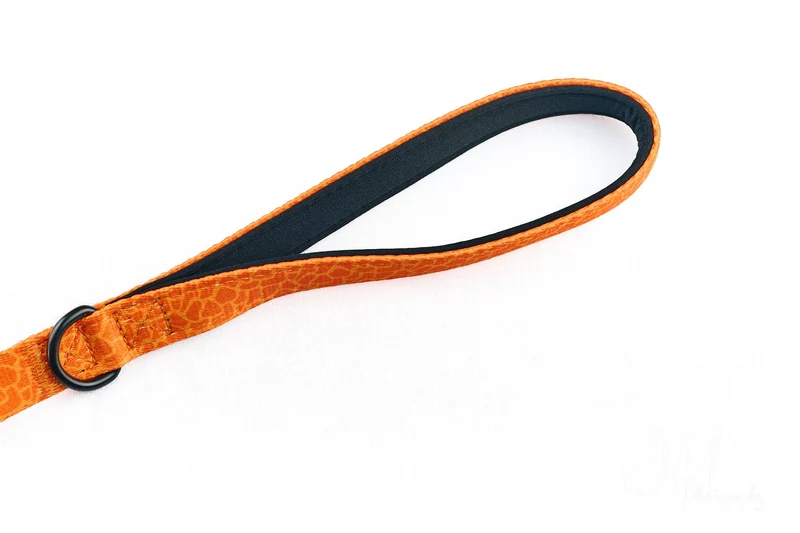 Hundeleine Trail | Grafik Orange