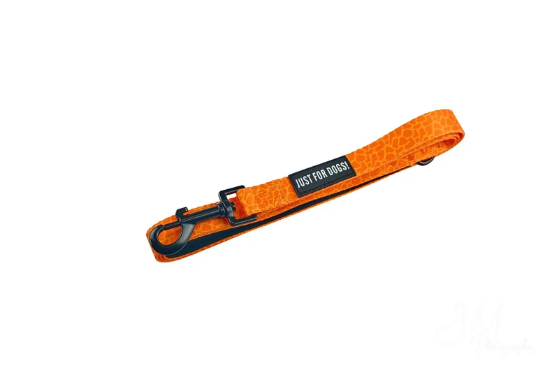 Hundeleine Trail | Grafik Orange