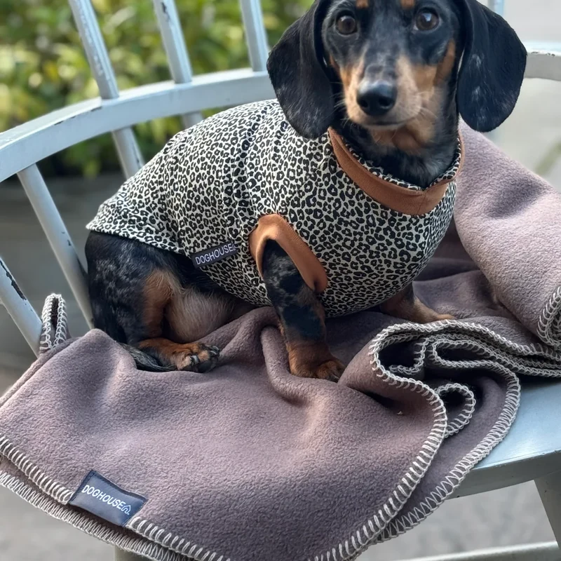 Hundedecke aus Polarfleece | Mokka-Beige