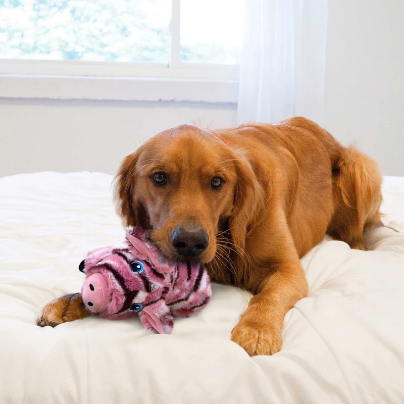 Hundespielzeug KONG® Low Stuff™ Stripes