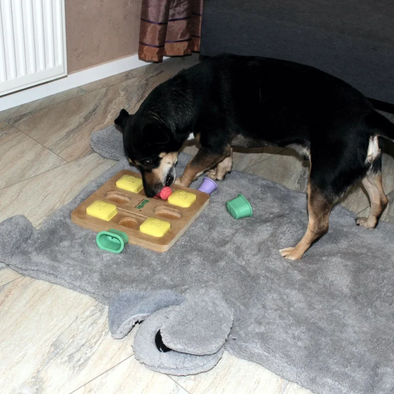 Nobby Kuschelmatte DOGGY - Spielmatte Schutzdecke Schlafplatz Hundematte - grau