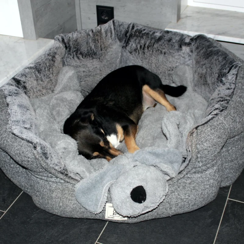 Nobby Kuschelmatte DOGGY - Spielmatte Schutzdecke Schlafplatz Hundematte - grau