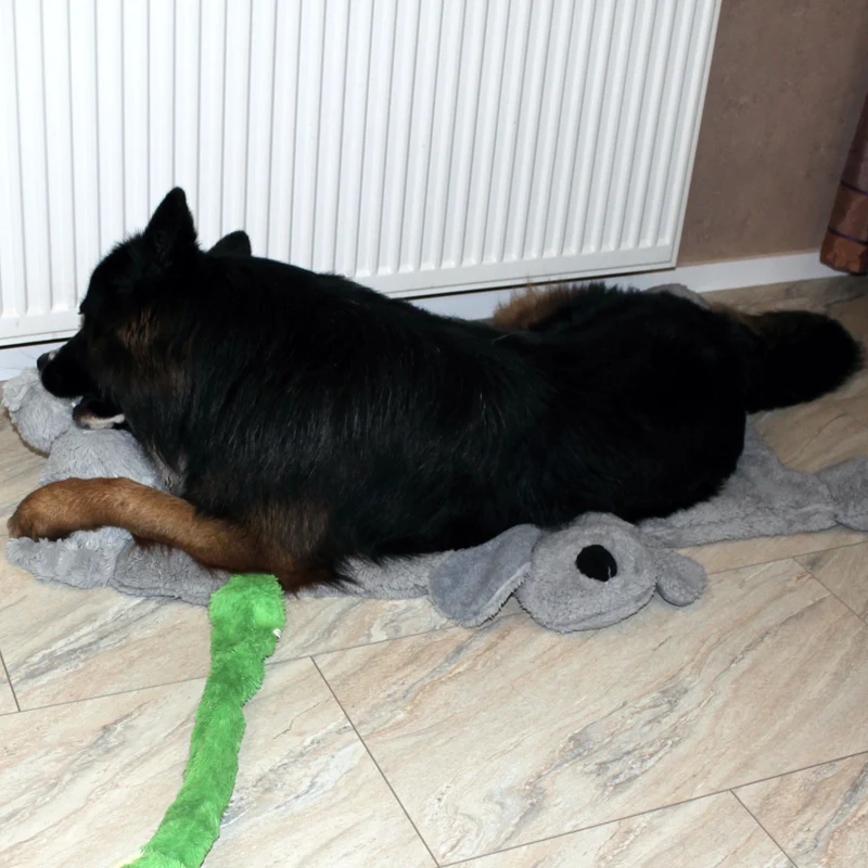 Nobby Kuschelmatte DOGGY - Spielmatte Schutzdecke Schlafplatz Hundematte - grau