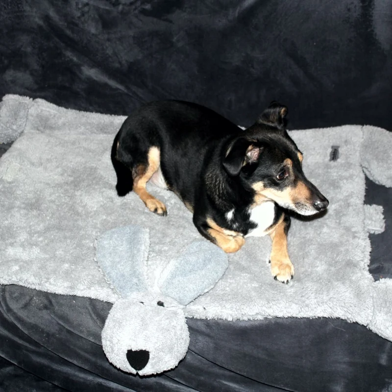 Nobby Kuschelmatte DOGGY - Spielmatte Schutzdecke Schlafplatz Hundematte - grau