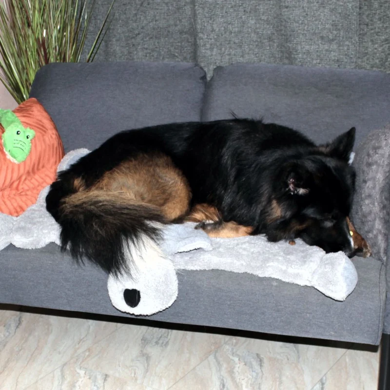 Nobby Kuschelmatte DOGGY - Spielmatte Schutzdecke Schlafplatz Hundematte - grau