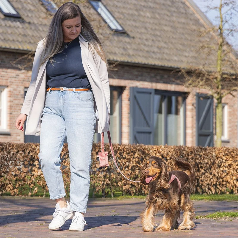 Designed by Lotte Geschirr VELURA - XXS/XS/S/M/L - Hundegeschirr Brustgeschirr