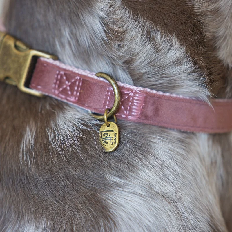 Designed by Lotte Halsband VELURA - XS/S/M/L - grau/grün/rosa - Hundehalsband