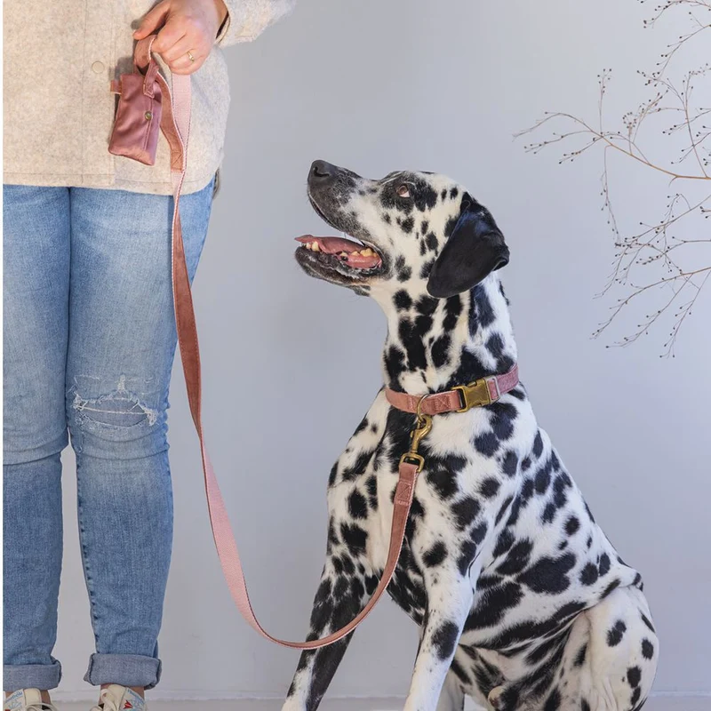 Designed by Lotte Halsband VELURA - XS/S/M/L - grau/grün/rosa - Hundehalsband