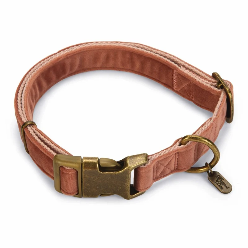Designed by Lotte Halsband VELURA - XS/S/M/L - grau/grün/rosa - Hundehalsband