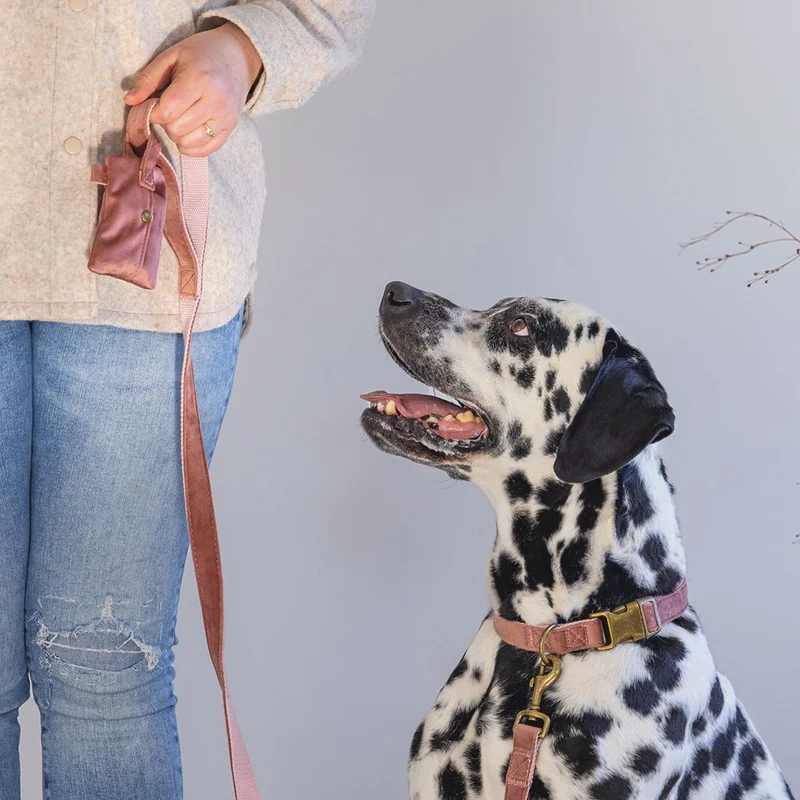 Designed by Lotte Kotbeutelspender CAJA - Kotbeutel Tasche inkl. Kottüten - Hund