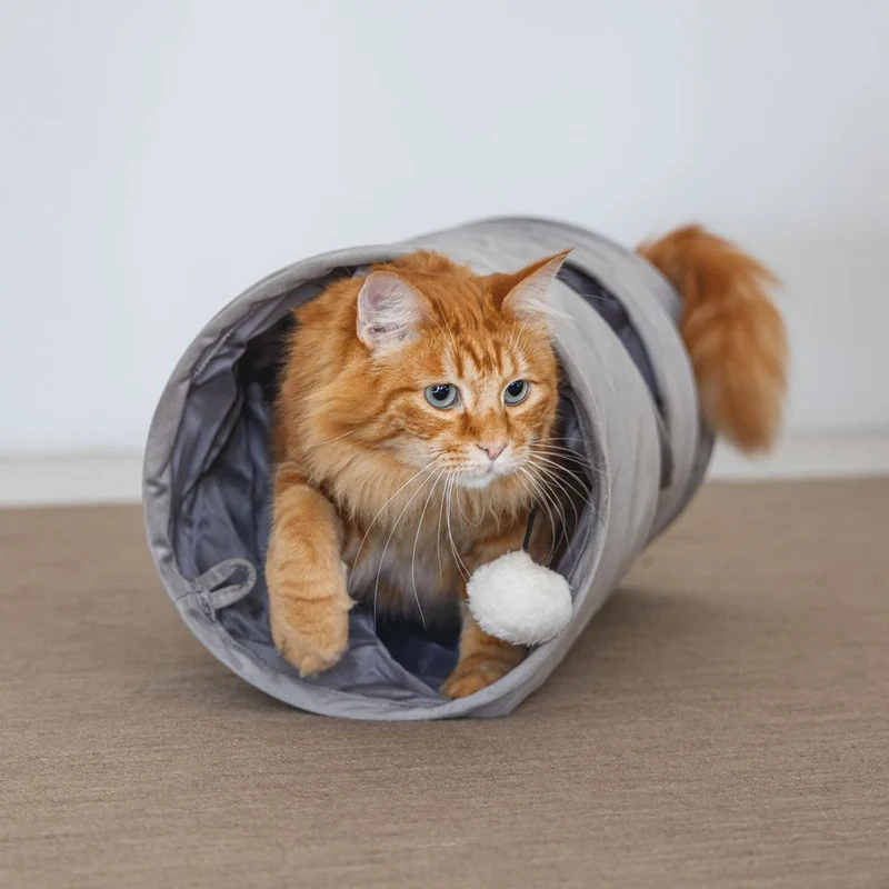 Designed by Lotte Katzentunnel CYLLA - 25 x 65 cm - Samt - Spielspaß für Katzen