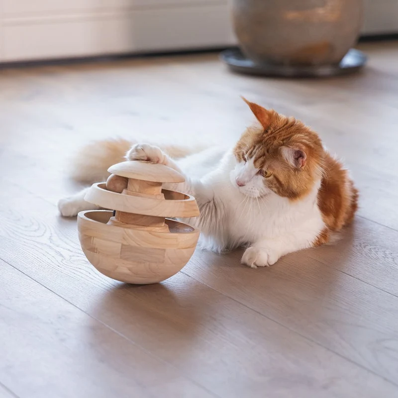 Designed by Lotte Katzenspielzeug NEYA - Spielkugel - Ø 16 cm - Holz - 4 Kugeln