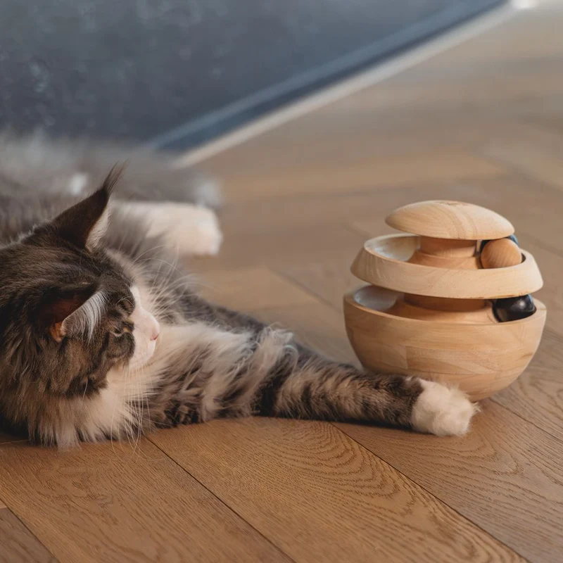 Designed by Lotte Katzenspielzeug NEYA - Spielkugel - Ø 16 cm - Holz - 4 Kugeln