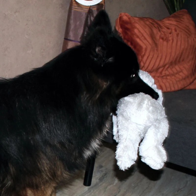 Beeztees Plüsch-Hundespielzeug - 40 cm - Kuscheltier Plüschtier ohne Squeaker