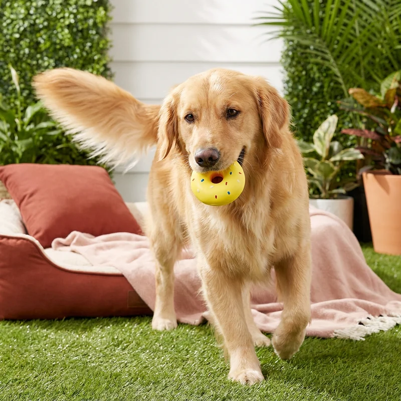 Buntes Donut-Quietschspielzeug für Hunde