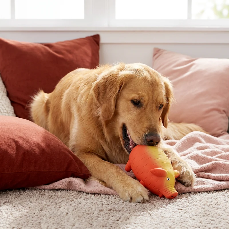Robustes Quietschspielzeug aus Latex im Bauernhof-Design für Hunde