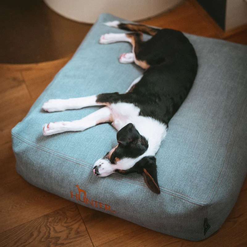 Orthopädisches/Ergonomisches Hundekissen Rotterdam