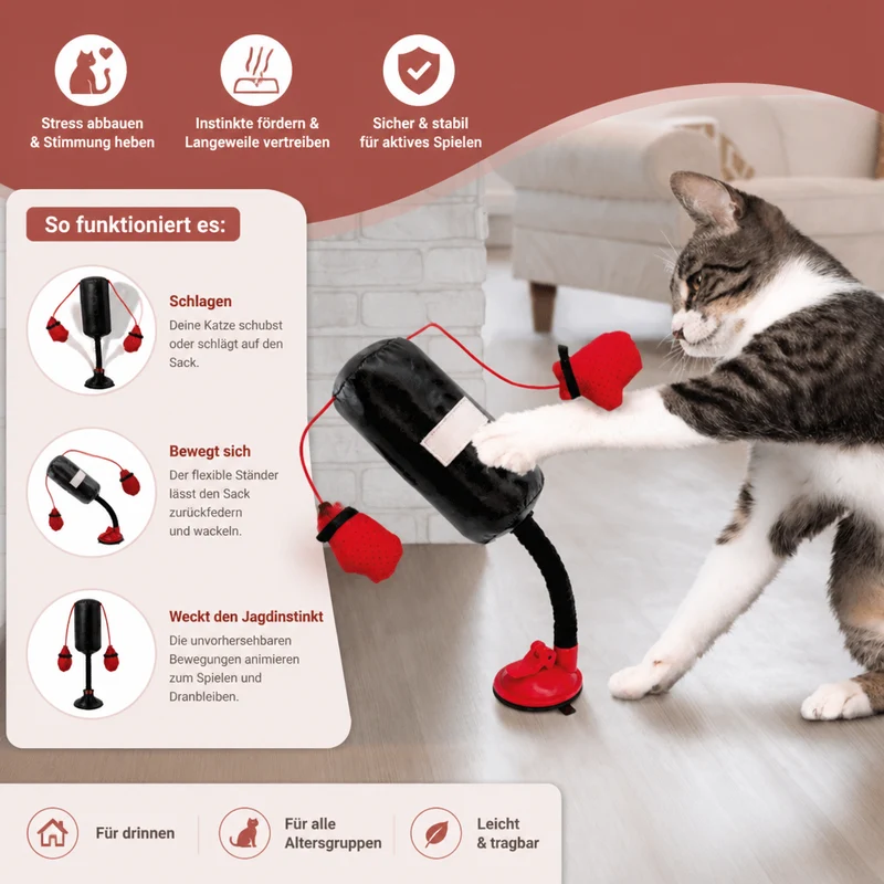 Robustes interaktives Katzen-Boxspielzeug mit Boxsack
