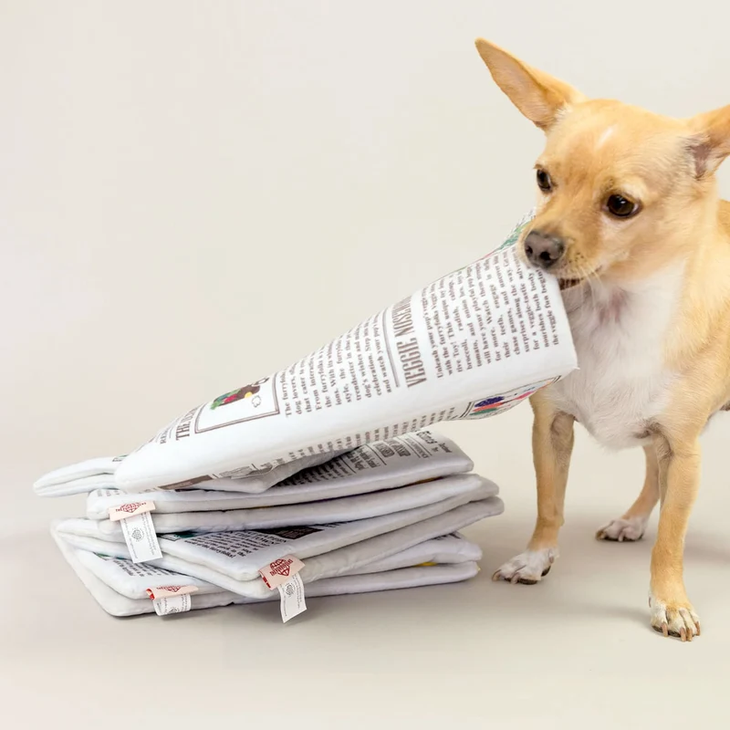 Hundespielzeug, Newspaper