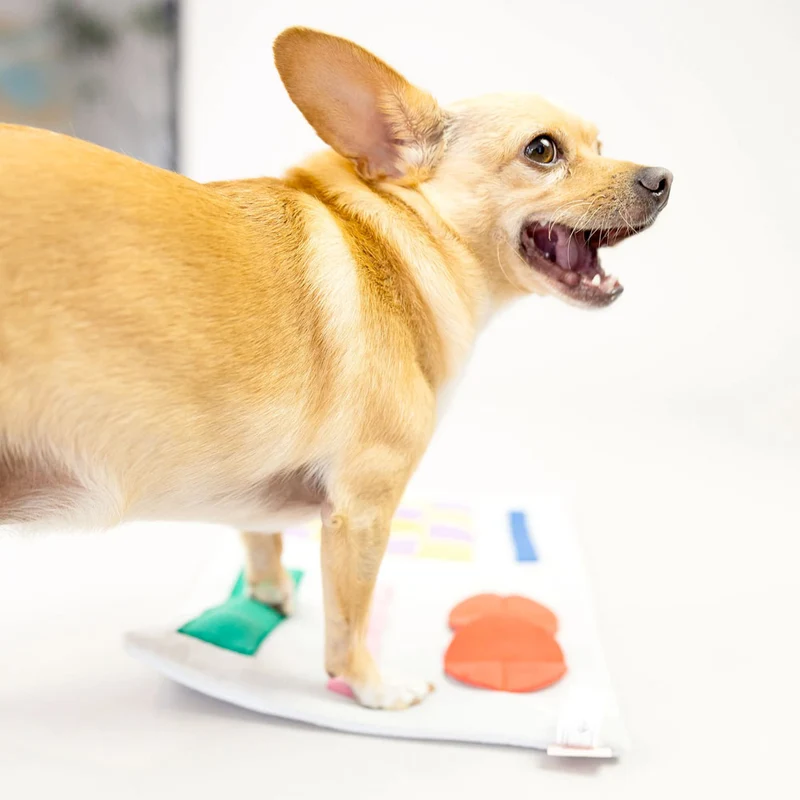 Hundespielzeug, Newspaper
