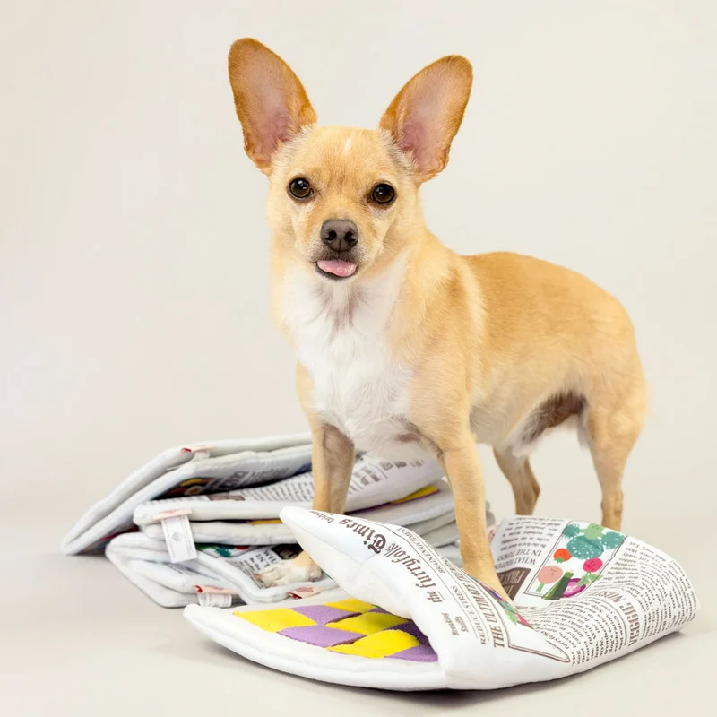 Hundespielzeug, Newspaper