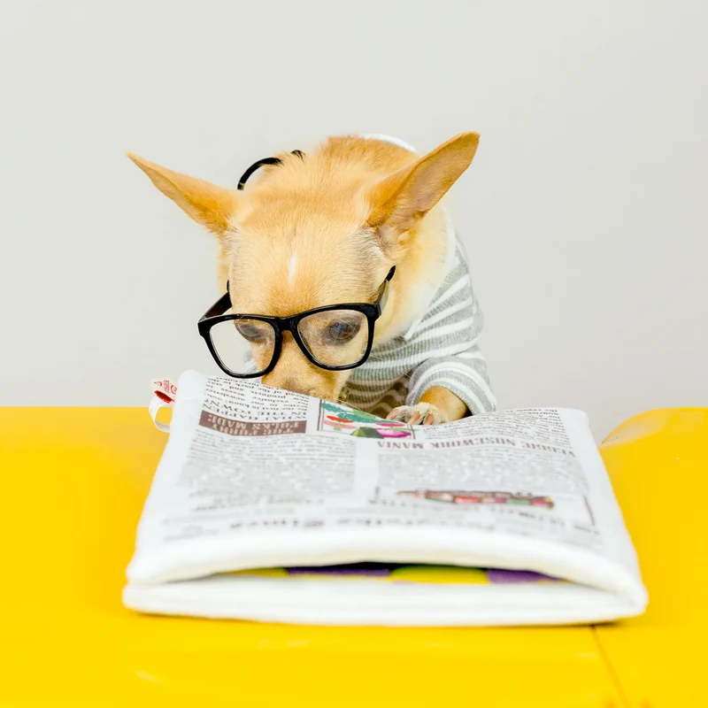 Hundespielzeug, Newspaper