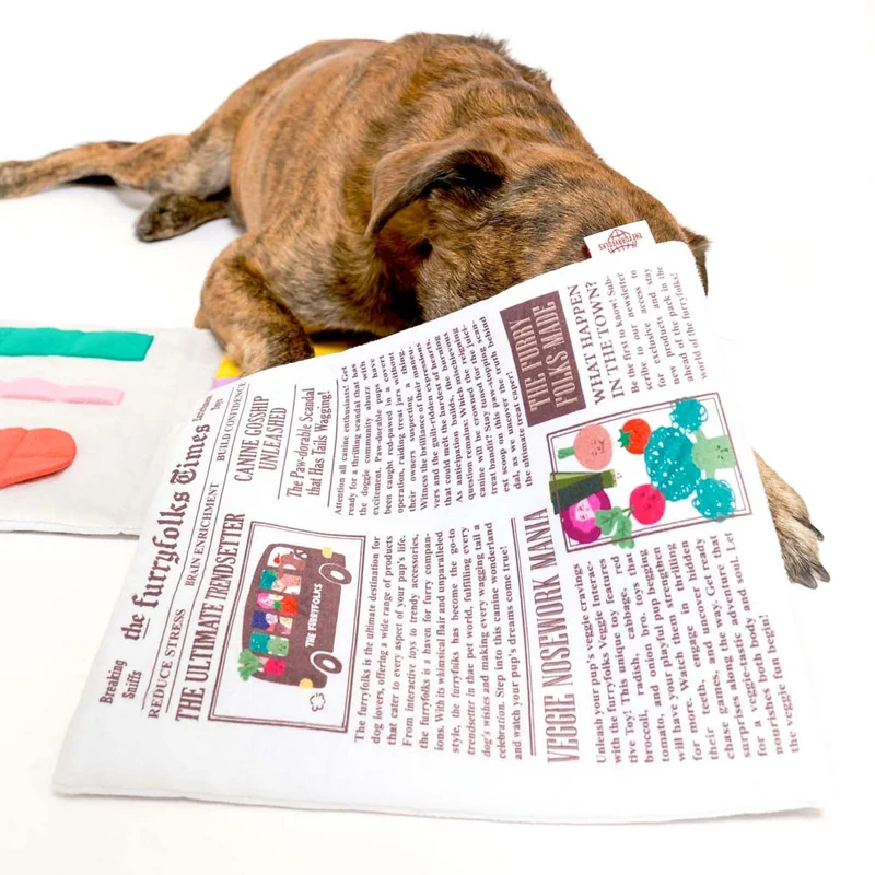 Hundespielzeug, Newspaper