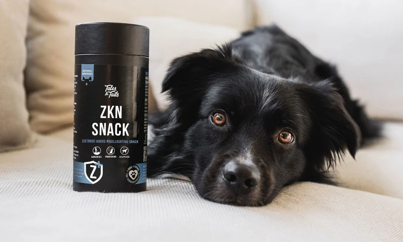 Natürlicher Zeckenschutz für Hunde | ZKN Snack