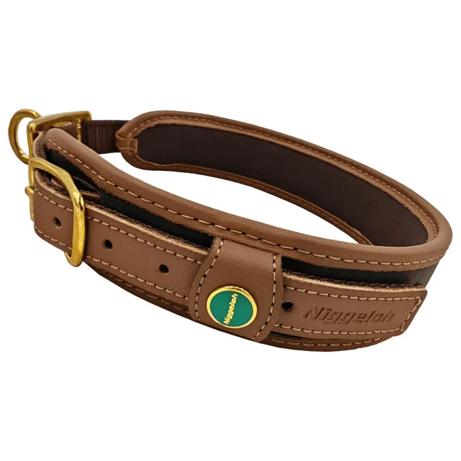 Hundehalsband mit Neopren | Lederhalsung