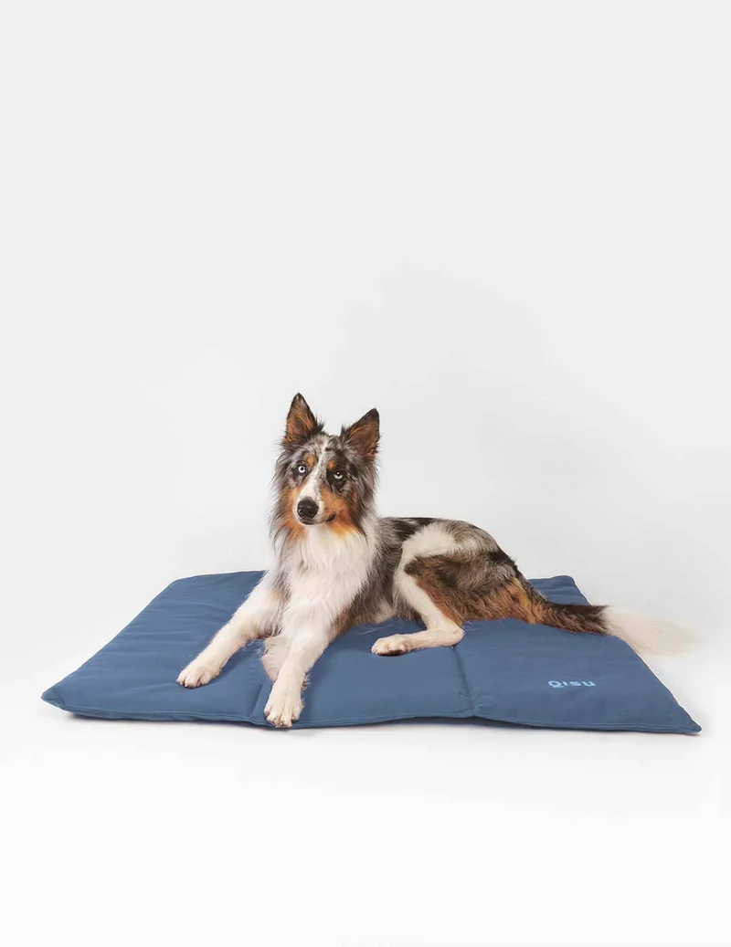 Outdoor Hundematte Blau | Pflegeleicht & waschbar