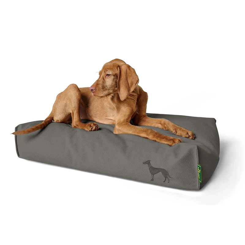 Orthopädisches/Ergonomisches Hundekissen Livo