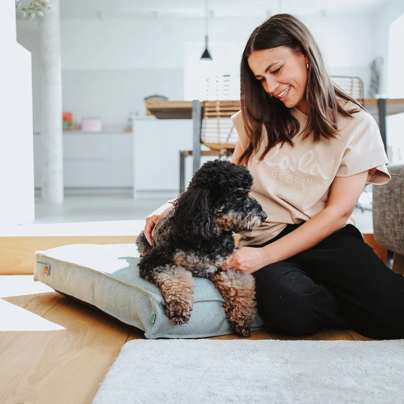 Recycling Hundekissen Belluno
