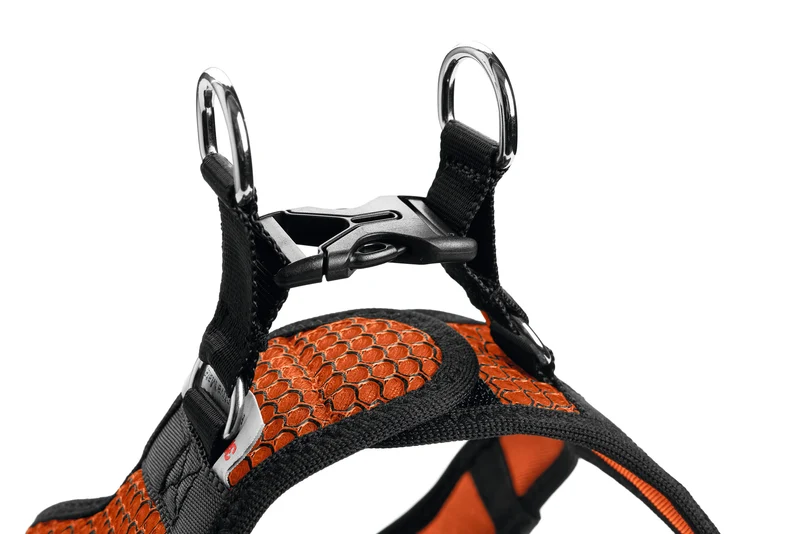 HILO Set Geschirr & Leine | orange