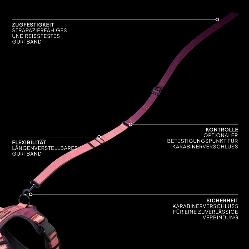Hundeleine L-1 Freihandleine AKTIV, Aubergine/Soft Rose