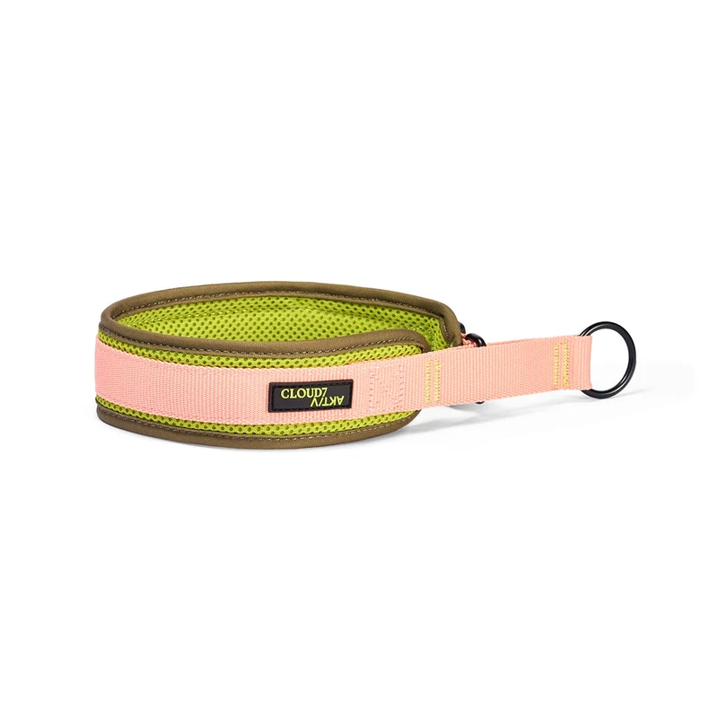 C-1 Zugstopp Halsband Air-Mesh AKTIV, Neon Green/Peach